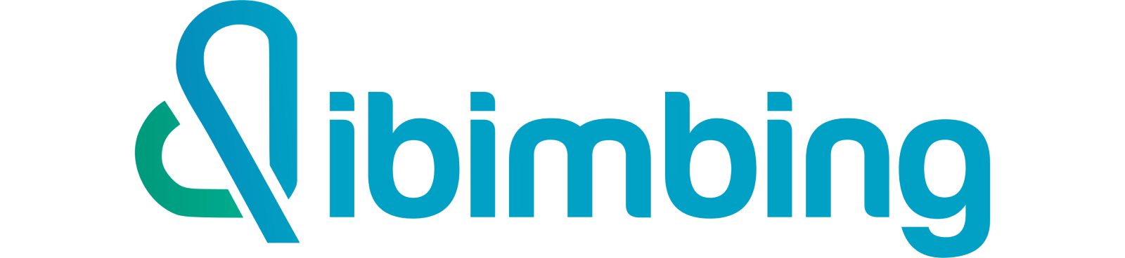 Dibimbing : as A Mentor